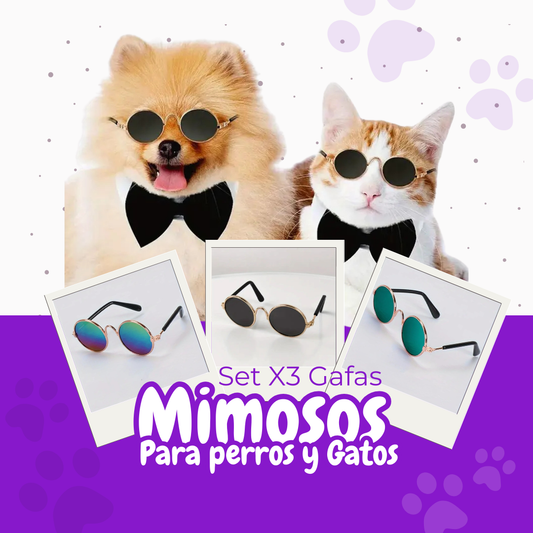 SET X3 GAFAS MIMOSOS + CORREA ANTI-DESLIZABLE